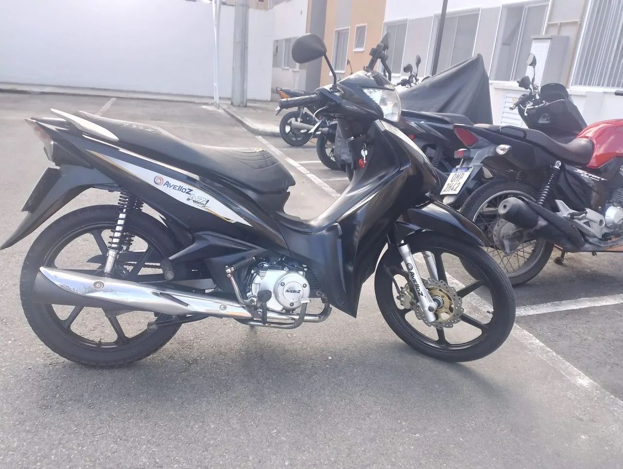 Vendo avelloz 2022 - Foto 4