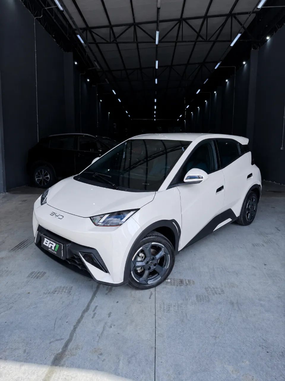 BYD Dolphin Mini (Elétrico) 2025