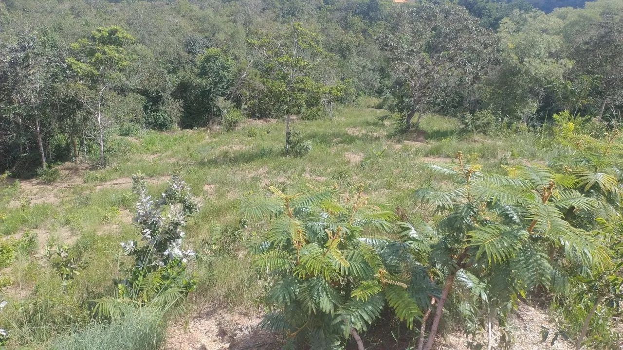 Vendo Terreno Corumbá 4 - Foto 3