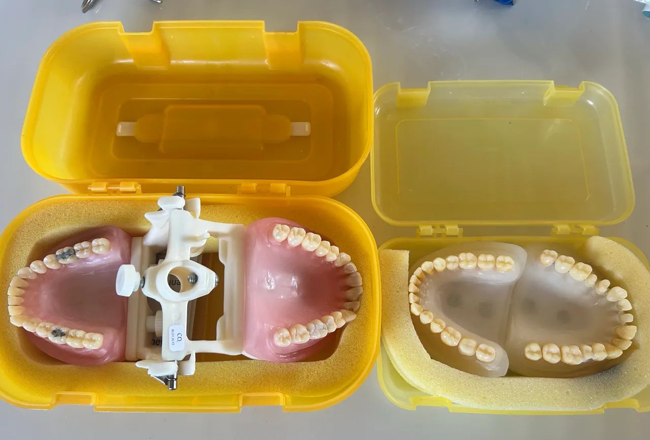 2 Manequim odontologia Pronew (usado) - Foto 2