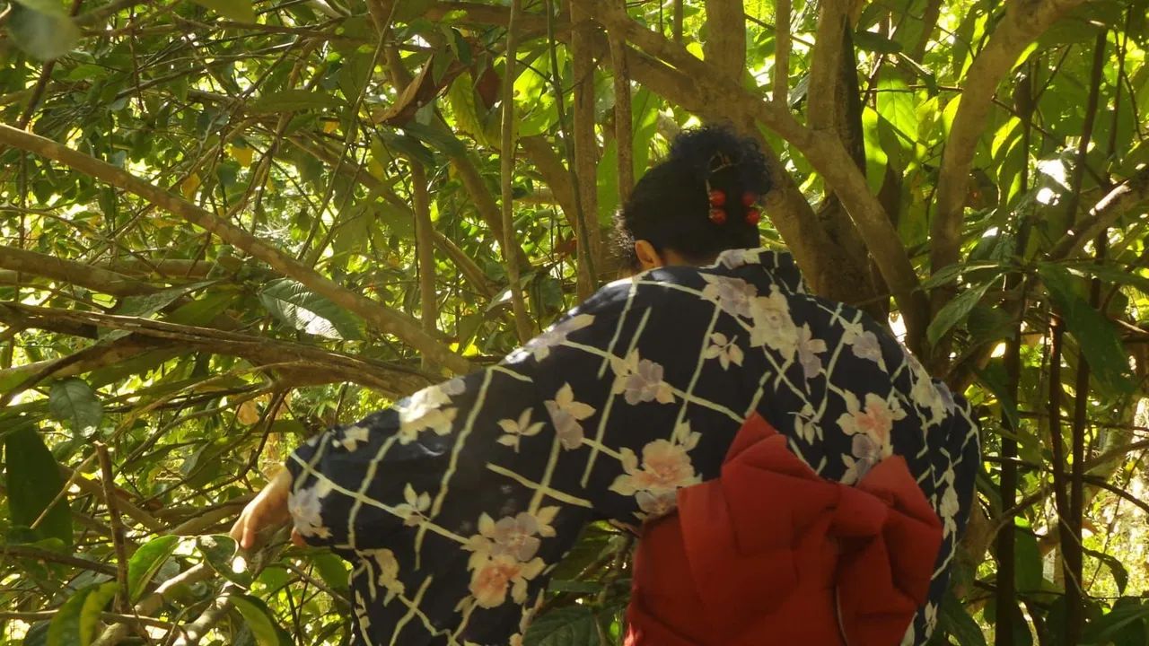 Vendo Kimono feminino  - Foto 2