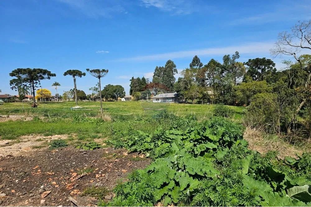Terreno Rural - Foto 4