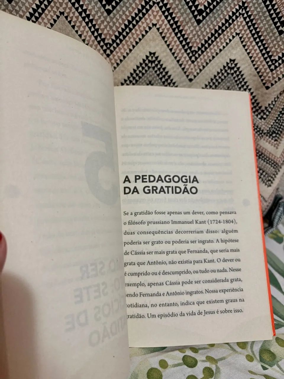 Livro  - Foto 2