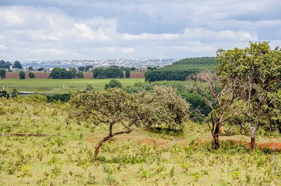 Sítio em Brazlandia -DF, 48ha, escriturado - Foto 11