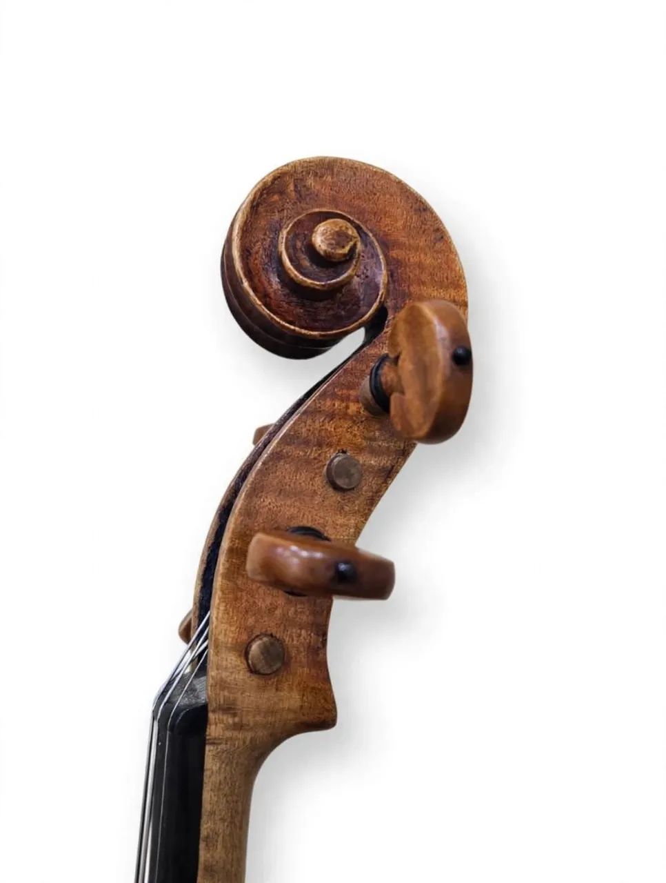 Violino - Foto 4