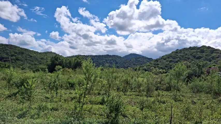 Foto - Guapimirim - Centro