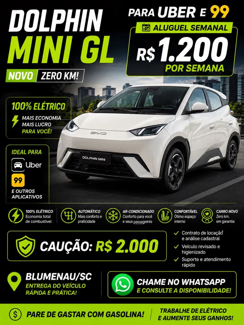 CARRO ELÉTRICO ZERO KM PARA ALUGAR.
