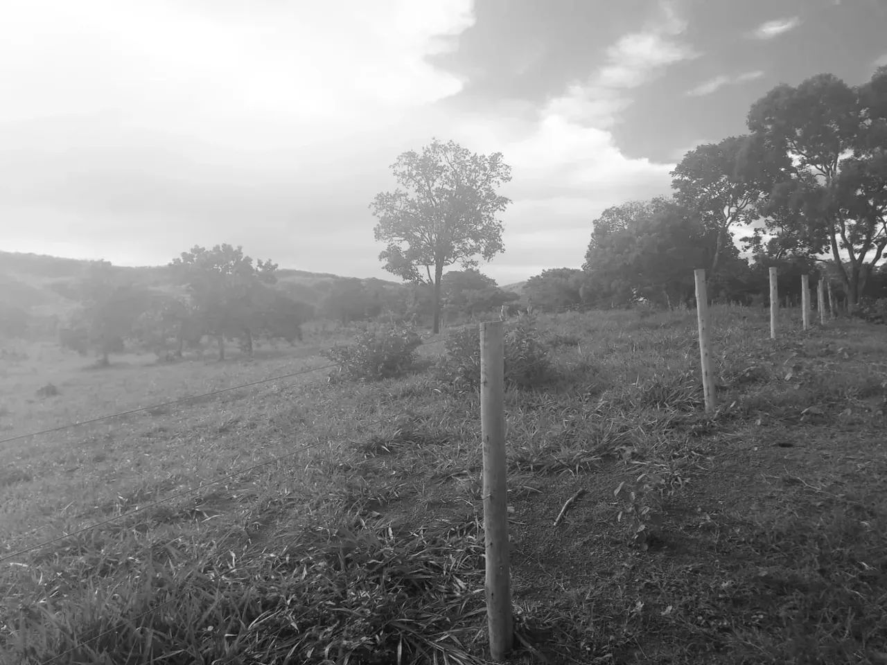Vendo fazenda com 173 hectares na região de BONFINOPOLIS  próximo a Unai MG - Foto 7