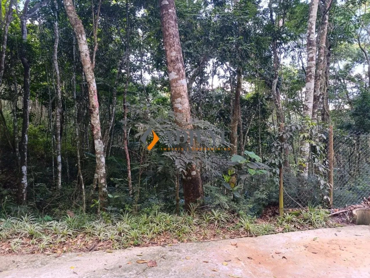 Araras, área nobre! Terreno com 10.014,68 m² - Foto 4