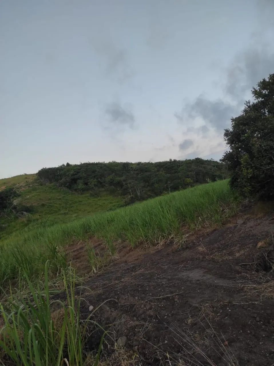 Fazenda a venda em capela  - Foto 2