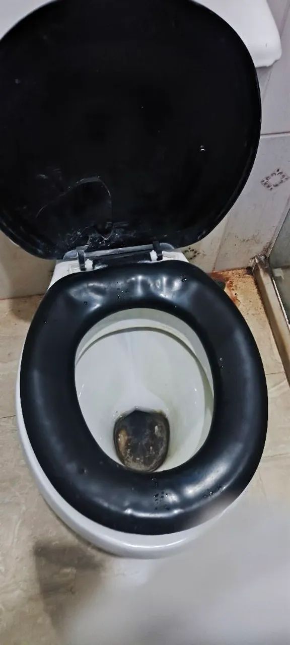 Vaso sanitário