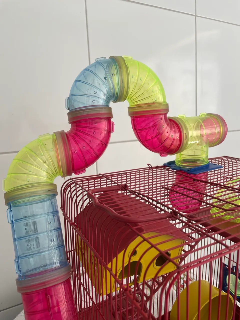 Gaiola Hamster ?  - Foto 4