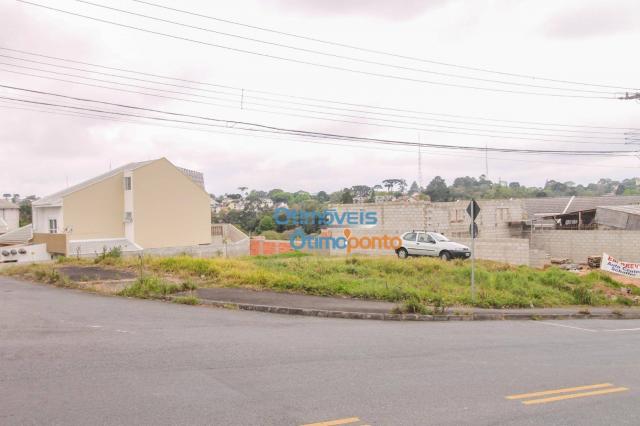 Terreno para alugar, 124 m² por r$ 1.000,00/mês - vista alegre - curitiba/pr