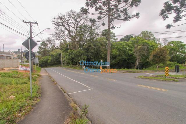 Terreno para alugar, 124 m² por r$ 1.000,00/mês - vista alegre - curitiba/pr - Foto 8