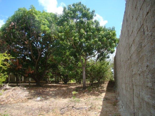 Sítio em Pacatuba, Ceará, Região Metropolitana de Fortaleza - Foto 16