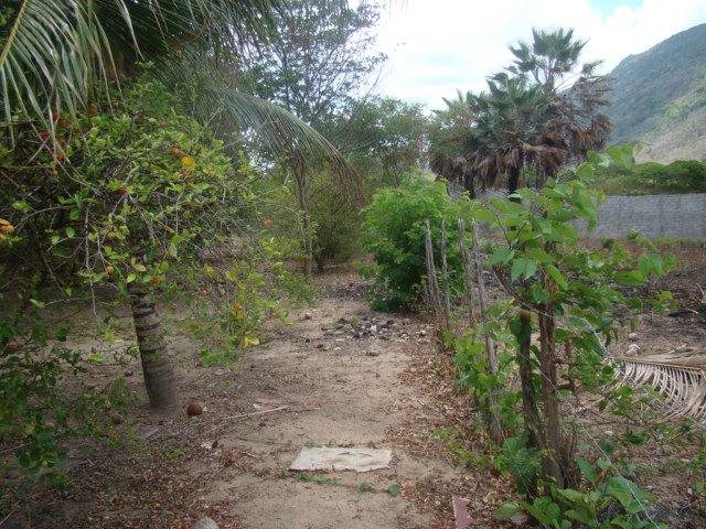 Sítio em Pacatuba, Ceará, Região Metropolitana de Fortaleza - Foto 15