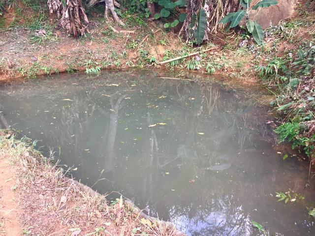 Sítio Caravaggio em Santa Teresa com 3 Hectares - Foto 16