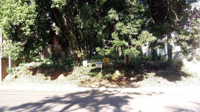 Terreno à venda, 852 m² por r$ 1,00 - montanha - lajeado/rs - Foto 3