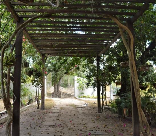 Apartamento para alugar com 3 dormitórios em Novo, Carpina cod:AL11JR - Foto 14