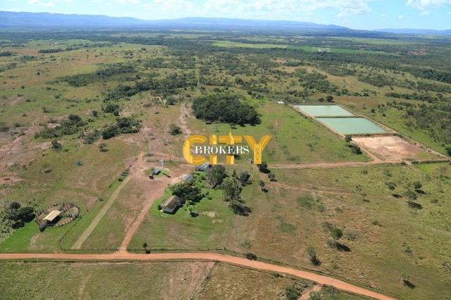 Fazenda na região rosário oeste - Foto 8