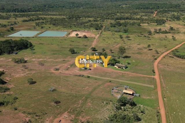 Fazenda na região rosário oeste - Foto 5