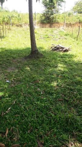 Terreno em Itamaracá - Foto 11