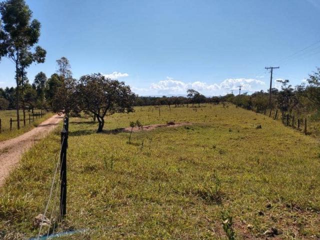 Terreno / Área - TAV53
