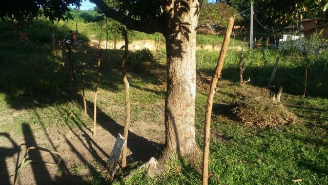 Terreno em Itamaracá - Foto 5