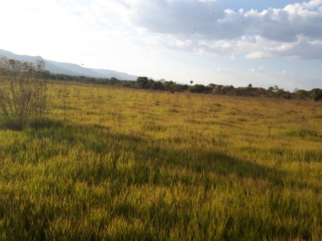 Chácara - Vão do Paranã - Formosa-GO - Foto 7