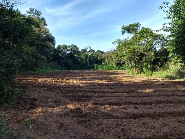 Área com 30 hectares com 600 metros de rio - Foto 12