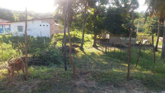 Terreno em Itamaracá - Foto 4