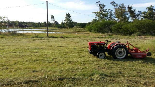 Sítio 2,9hec, no asfalto Lami POA/Itapuã, junto à rotatória, ótimo ponto comercial - Foto 15