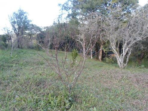 Chacara agudos do sul as margens pr 281 troco caminhao guincho munk - Foto 8