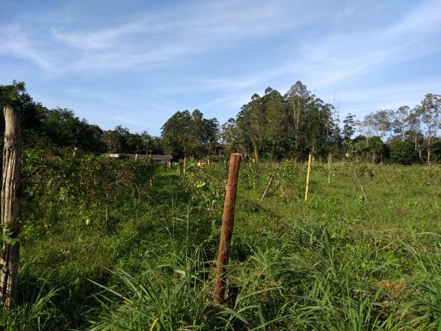 Área com 30 hectares com 600 metros de rio - Foto 20