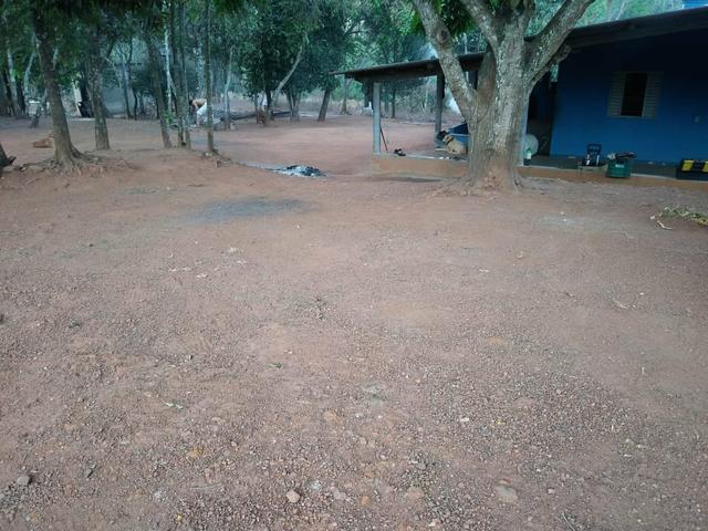 Vendo chacara - Foto 6