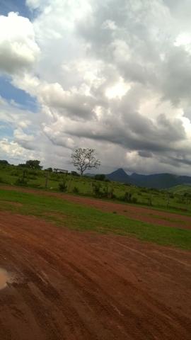 Fazenda - 1800 Hectares - Nossa Senhora do Livramento/MT - Foto 7