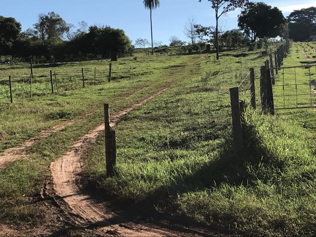 Chacrinha próximo ao jardim do Pimentel e Havan