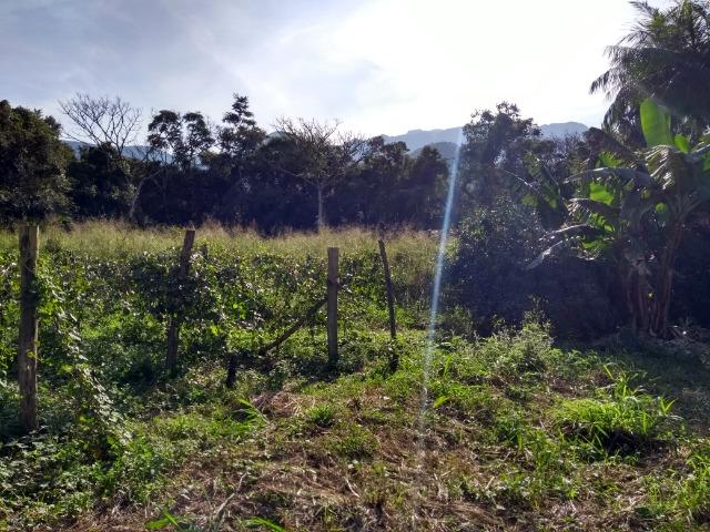 Área com 30 hectares com 600 metros de rio - Foto 17