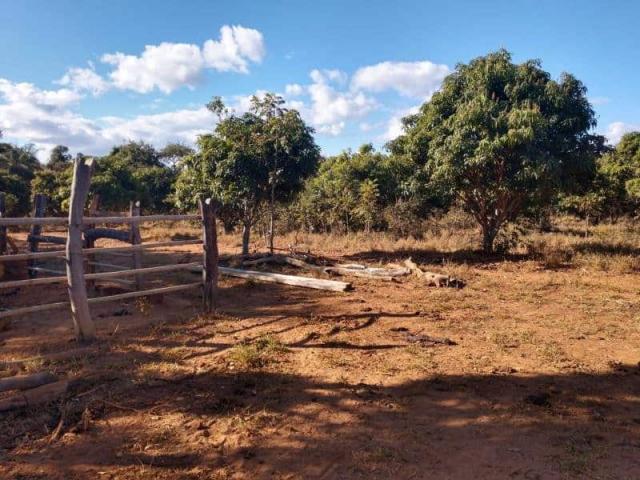 Fazenda - TAV60 - Foto 13