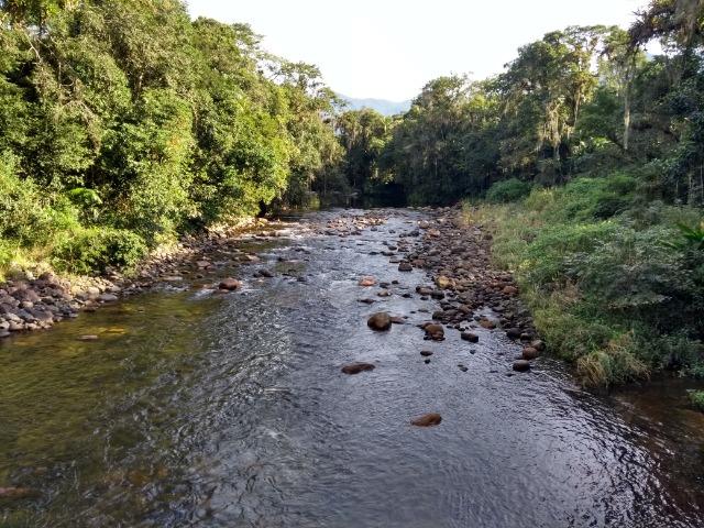 Área com 30 hectares com 600 metros de rio - Foto 10