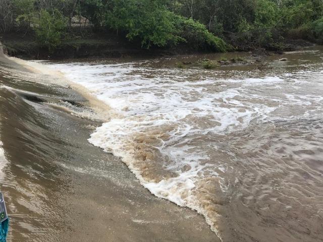 Belíssima Fazenda com casa boa e piscina na região rural de Riachão do Jacuípe Bahia - Foto 8