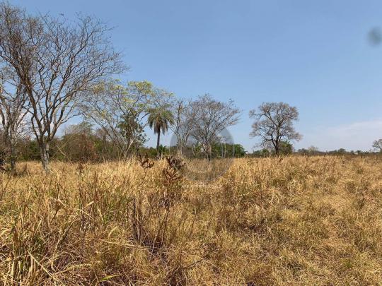 Fazenda 95 ha região chapada dos guimarães - Foto 2