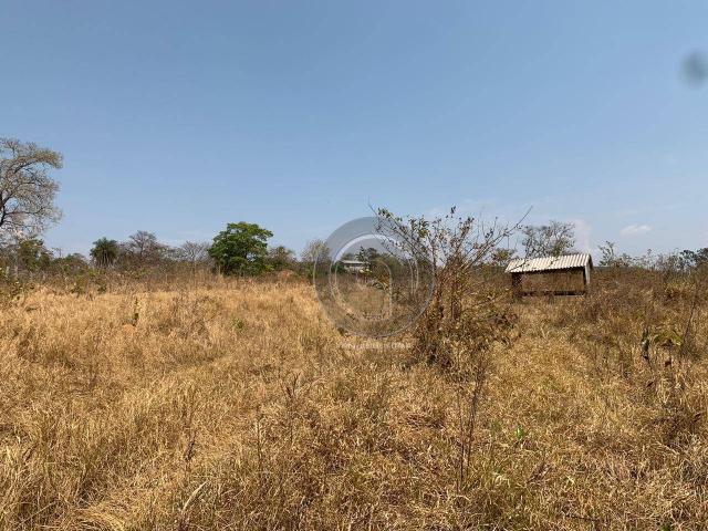 Fazenda 95 ha região chapada dos guimarães - Foto 9