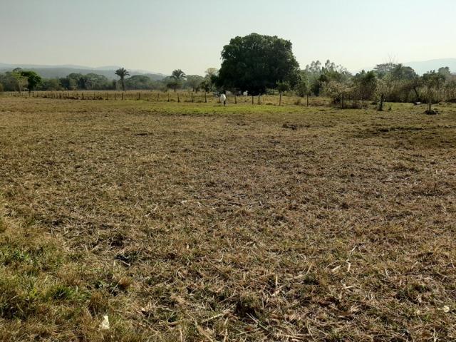 Chácara com 5 hectares na Agrovila das Palmeiras - Foto 3