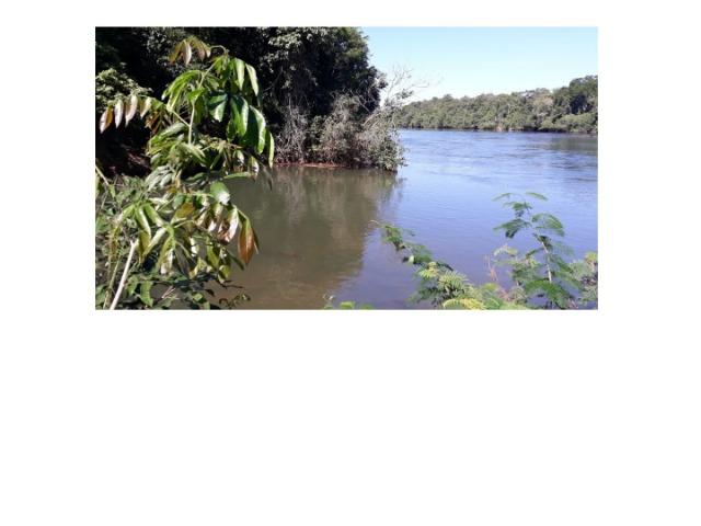 Paraíso,395 hectares, Beira Rio Manso,lazer, pescaria, moradia,Turismo. Oportunidade. - Foto 7