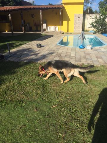 Alugo chácara em Aldeia para Final de semana!! - Foto 12
