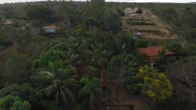Chácara completa com 2 casas, piscina, pomar e ribeirão grande no fundo