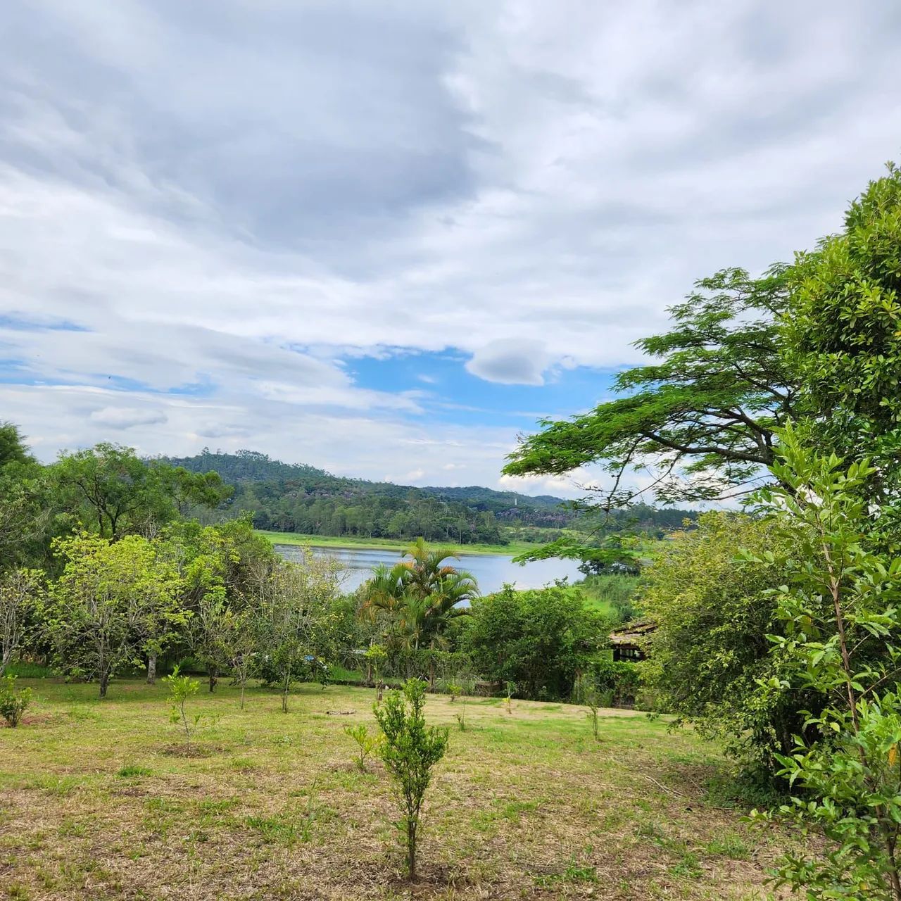 foto - Mogi das Cruzes - Boa Vista