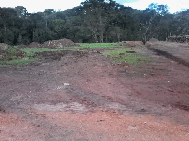 foto - São José dos Pinhais - Campina do Taquaral