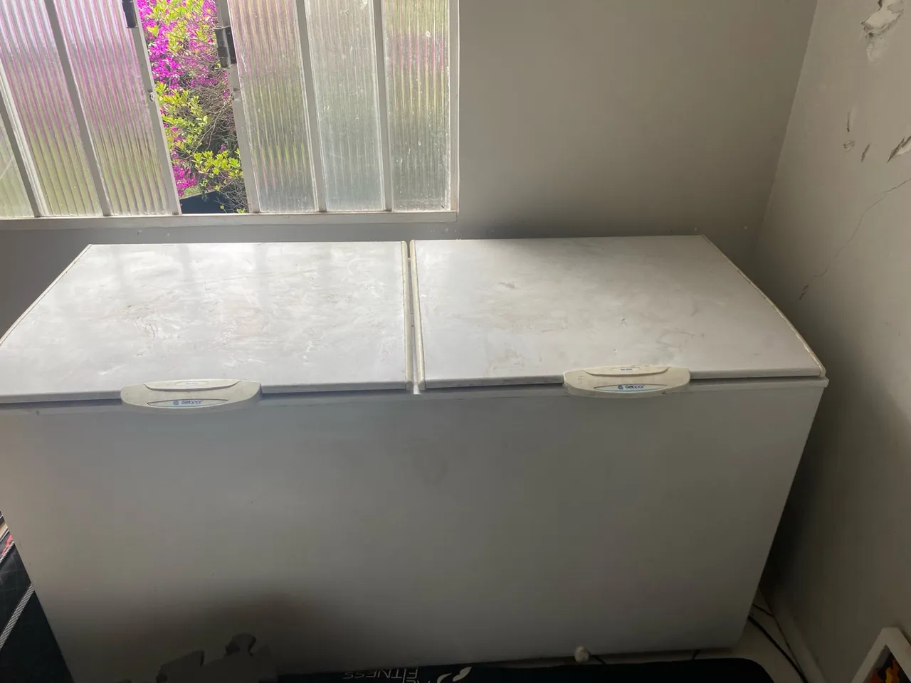 Freezer gelopar